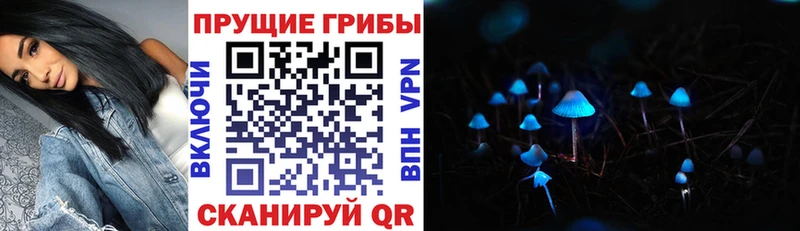 Галлюциногенные грибы Magic Shrooms  kraken зеркало  сайты даркнета Telegram  Бородино 