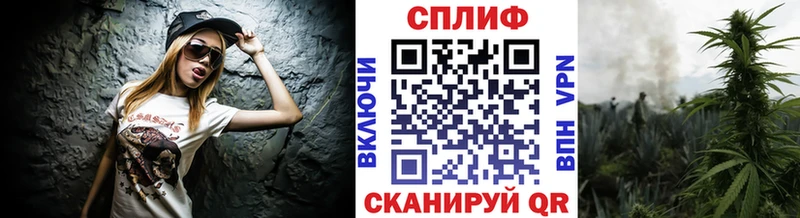МАРИХУАНА гибрид Бородино